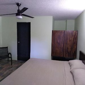 Habitación Superior con Cama King